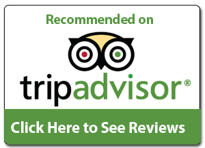 Trip Advisor Reviews